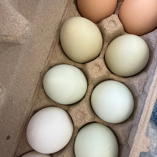 Eggs